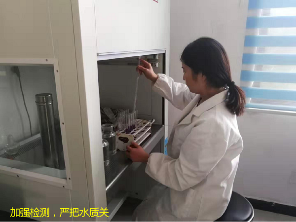 9001诚信金沙(中国)有限公司