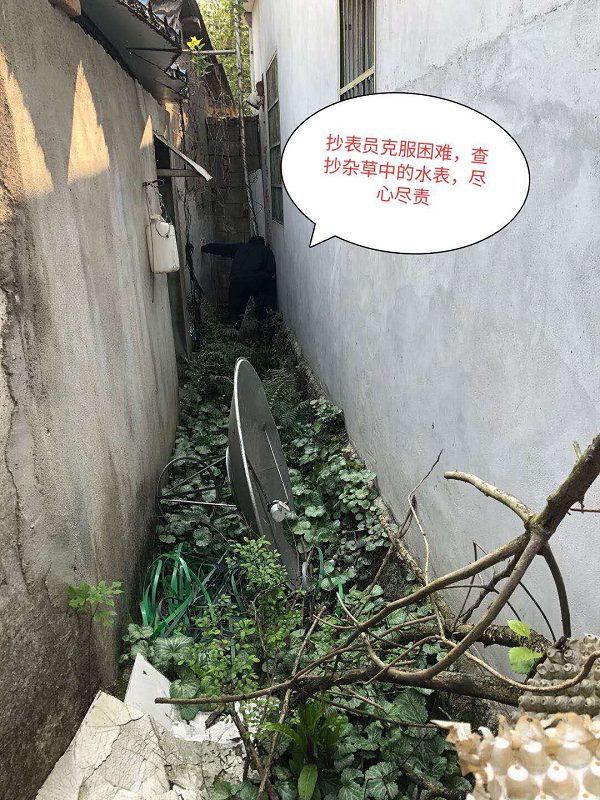 9001诚信金沙(中国)有限公司