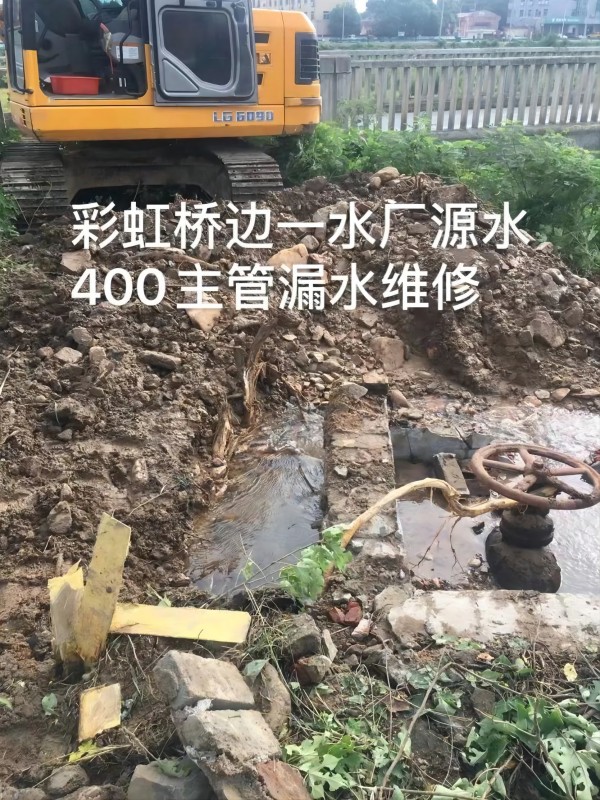 9001诚信金沙(中国)有限公司